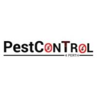 Termite Control Perth image 1